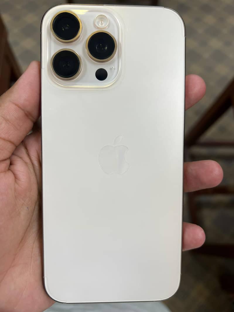 Apple iPhone 16 Pro Max 1