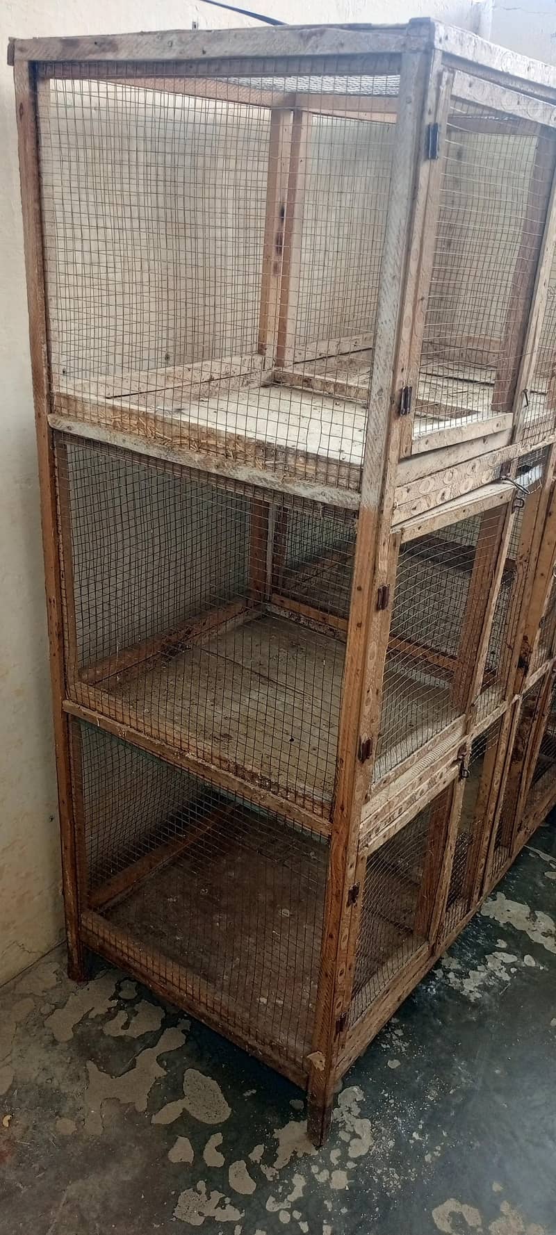 6 portion cage 1