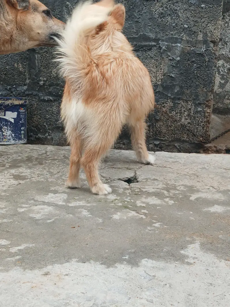 Breeder — photo 3