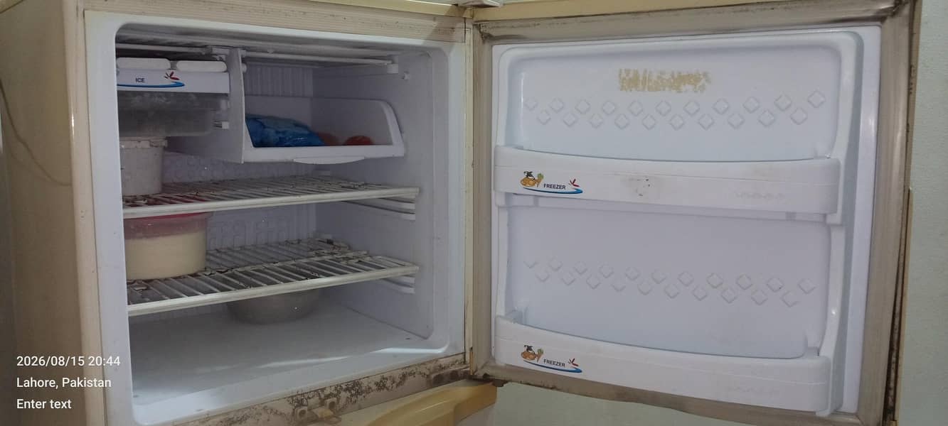 PEL FRIDGE 1