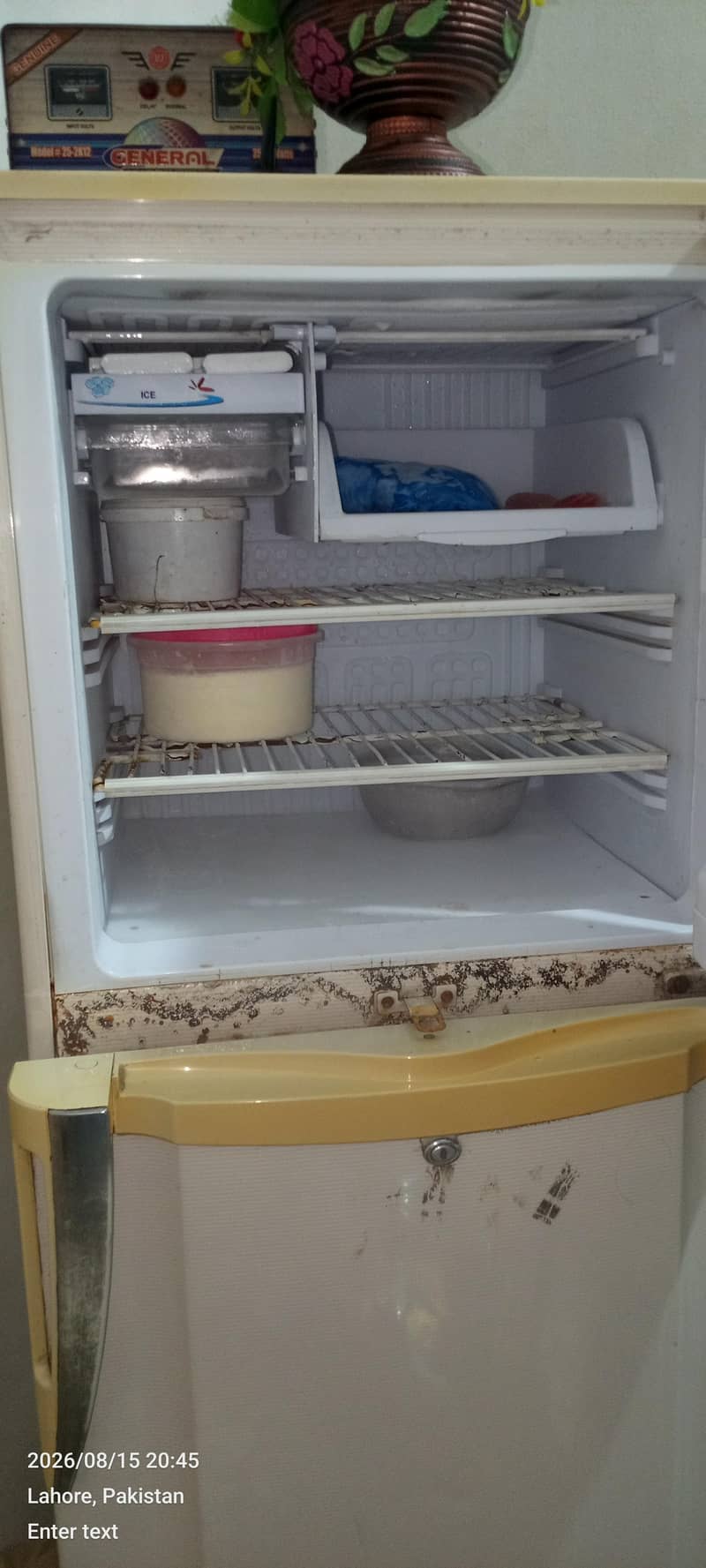 PEL FRIDGE 2