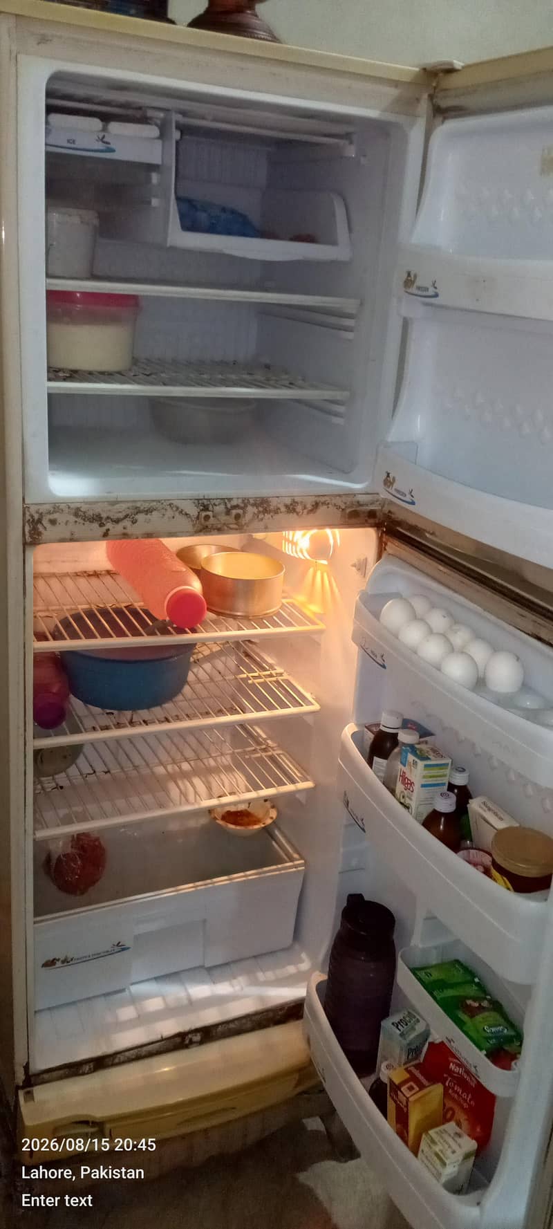 PEL FRIDGE 3
