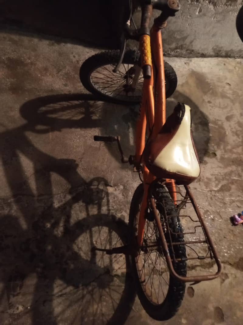 Bicycle 1