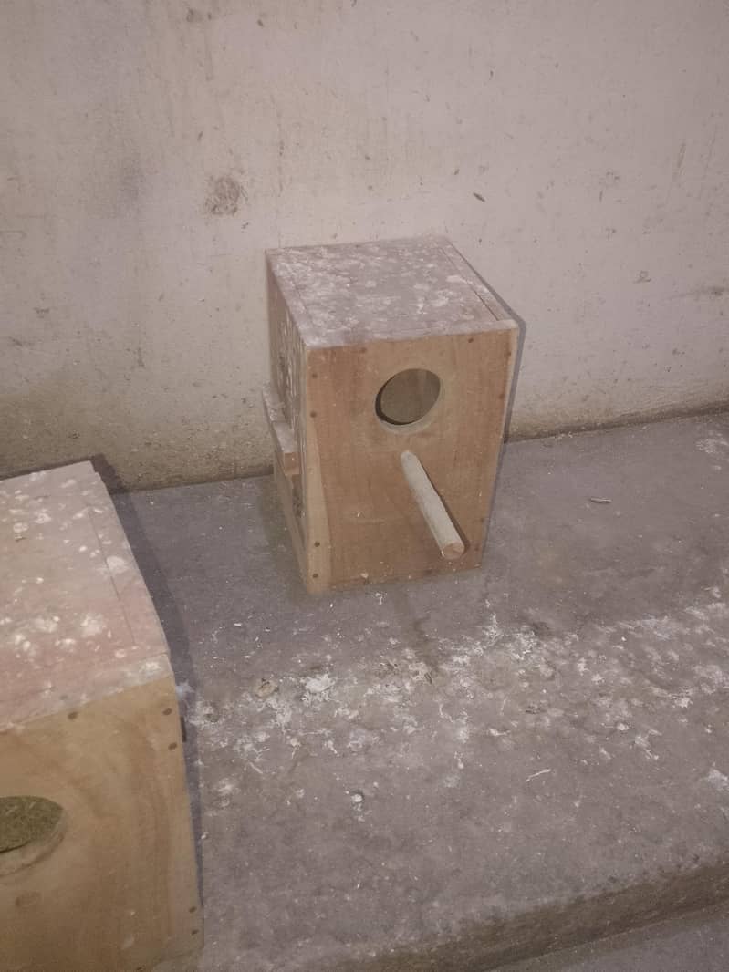 breeding box 2