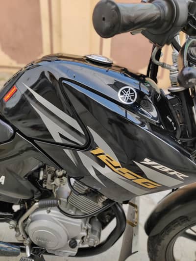 LushYAMAHA YBR 125 G