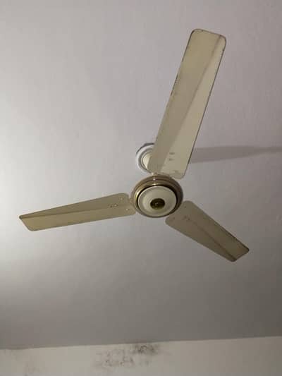 Pak fan