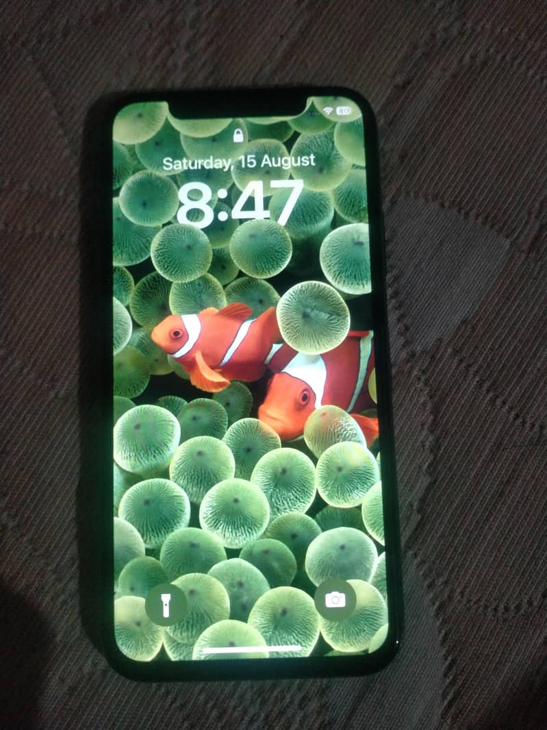 Apple iPhone X 1