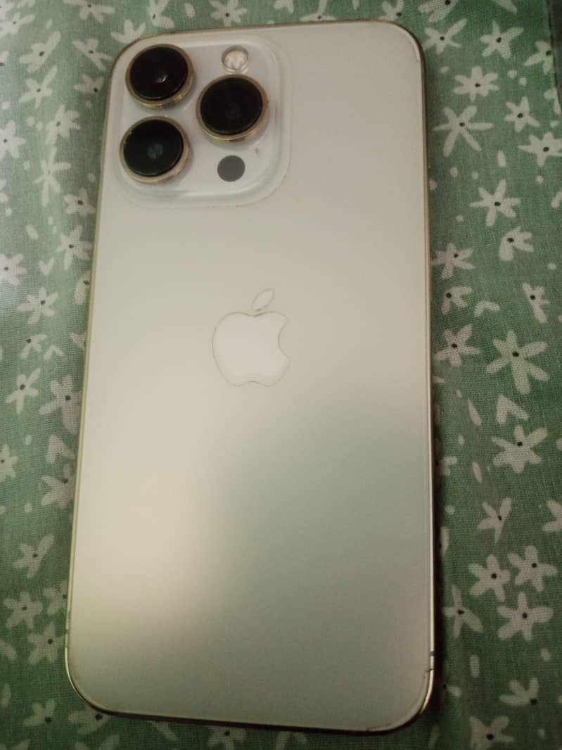 Apple iPhone 13 Pro 1