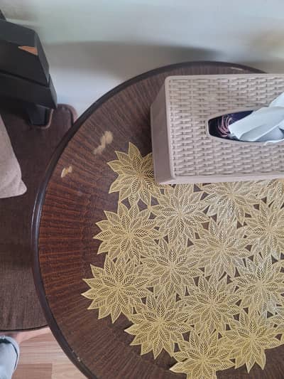 living room chairs/coffee chairs/wooden chairs