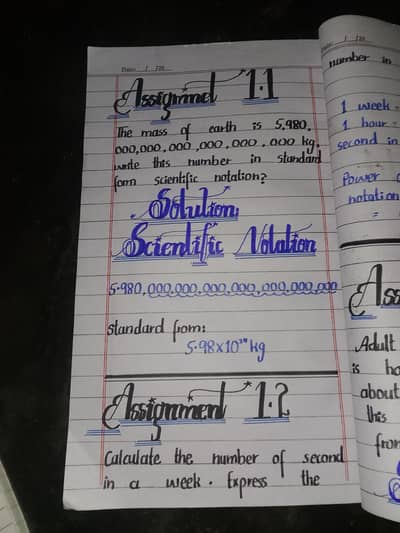 Assignment writing