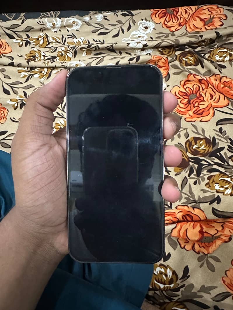 Apple iPhone 13 Pro 9
