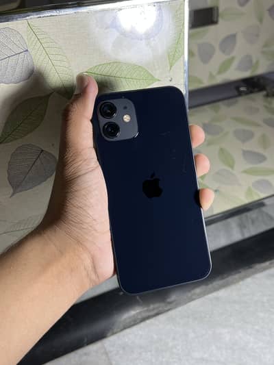 Apple iPhone 12 pta aprooved
