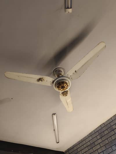 pure copper fan for sale