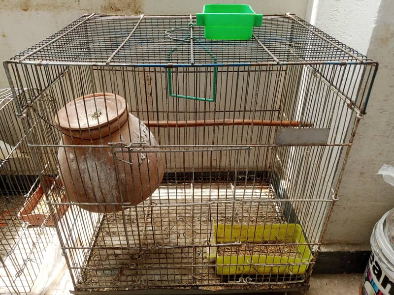 Bird Cage 0