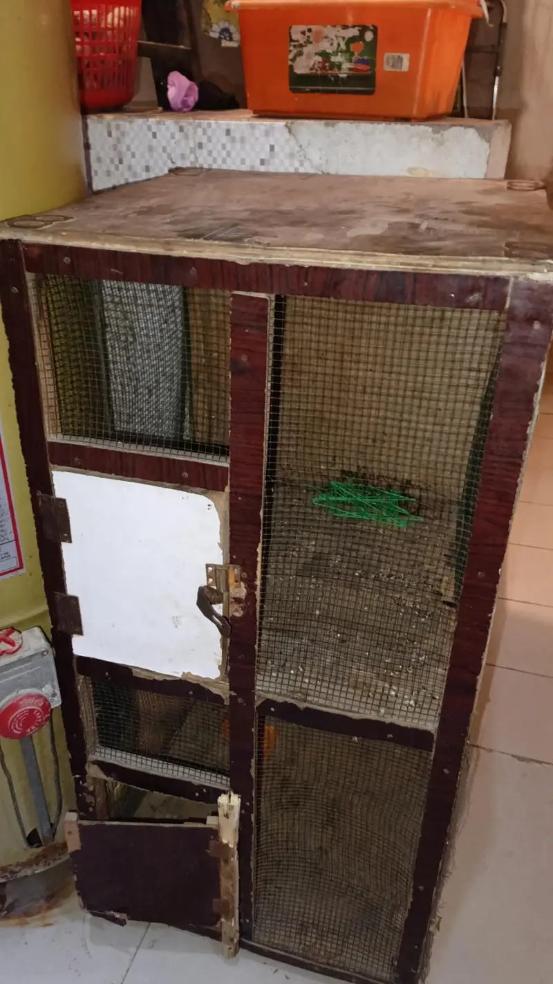 2 column cage — photo 2