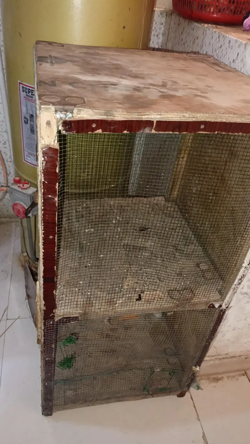2 column cage — photo 3