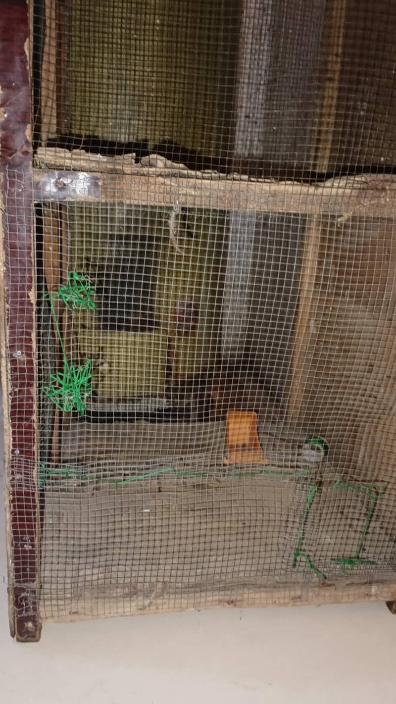 2 column cage 4