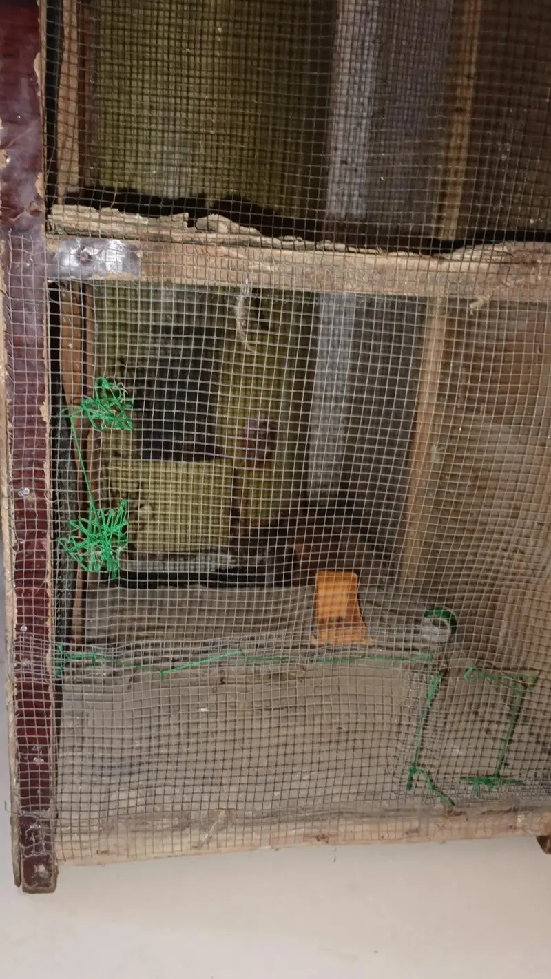 2 column cage — photo 5