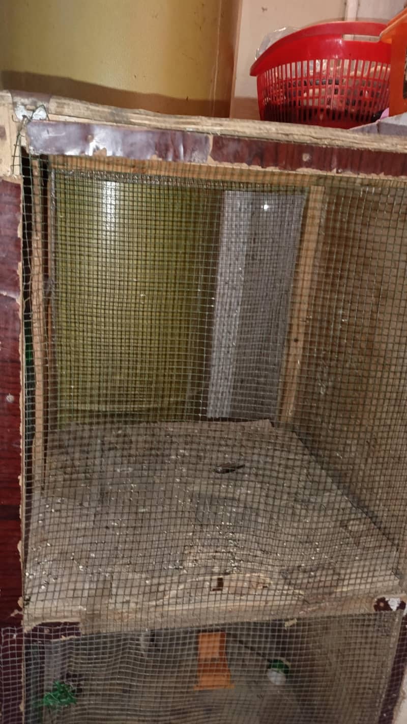 2 column cage 3
