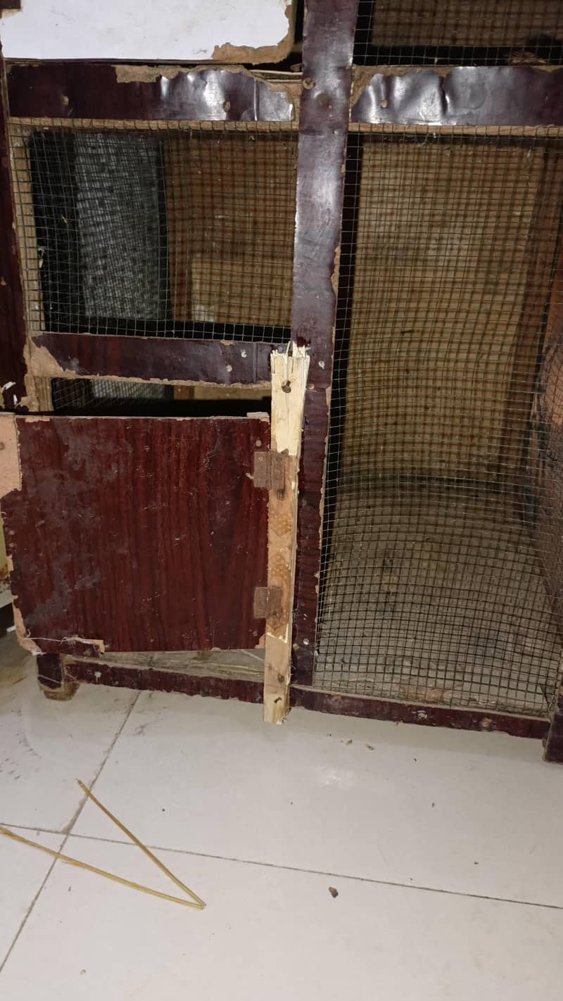 2 column cage 5