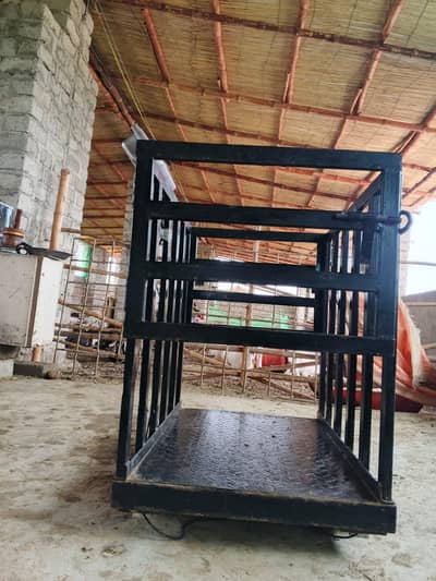 weight scale for goats