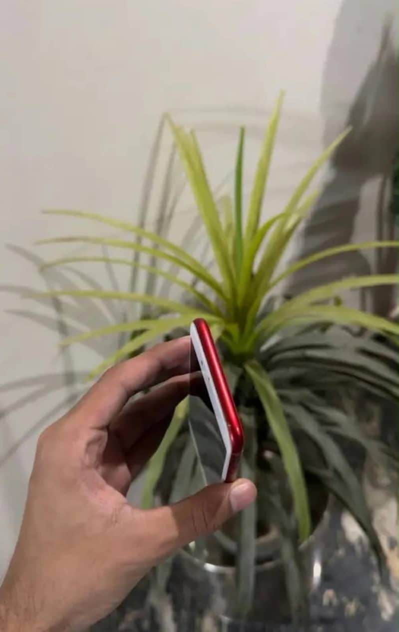 Apple iPhone 7 1