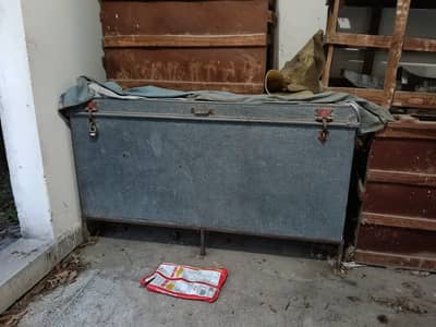 patiee grand trunk for sale