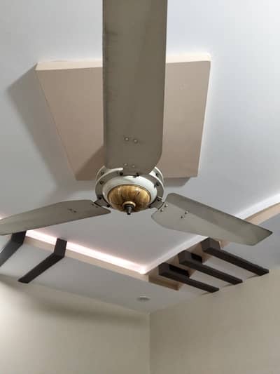 Royal and Parvaz Ceiling Fans