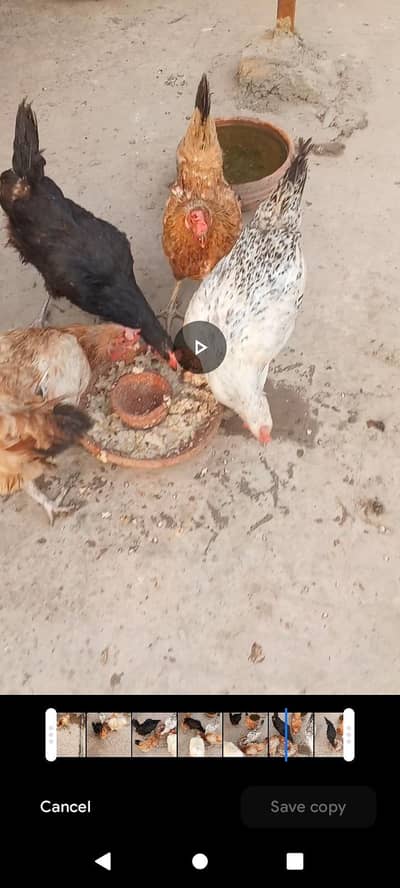 urgent for sale