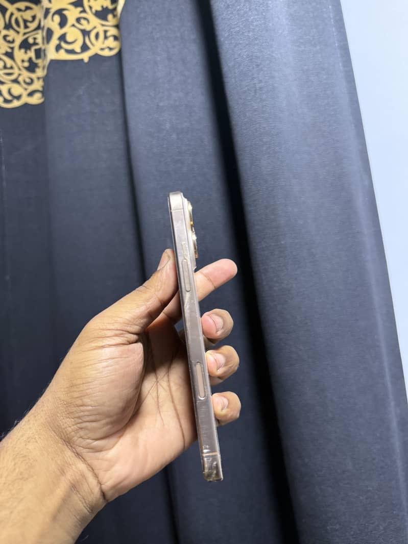 Apple iPhone 16 Pro Max 1