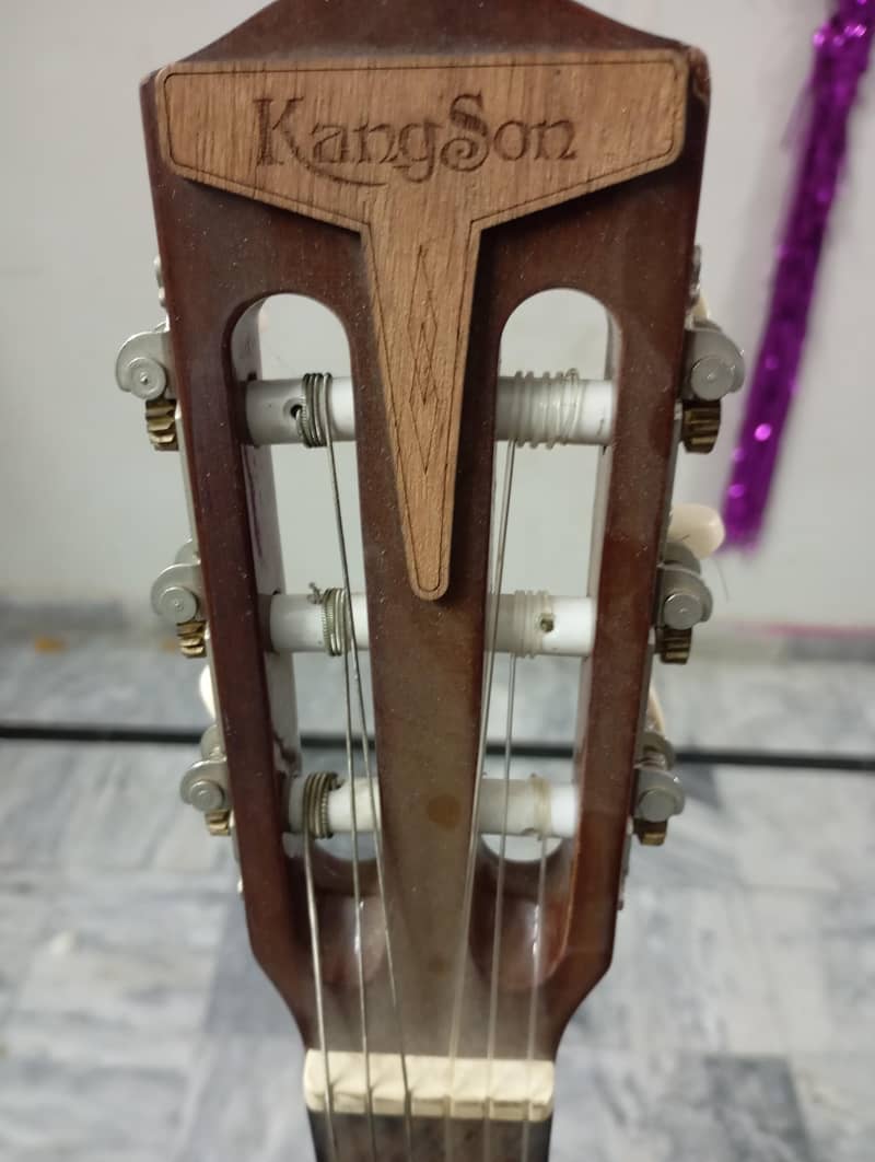 Guitar 5