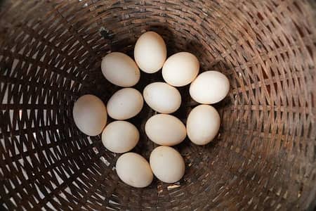 Pure Desi | Aseel | Fertile | Organic Eggs | Anday for sale