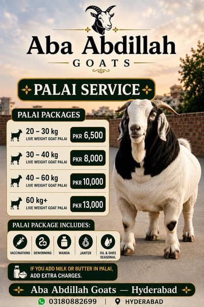 Palai service