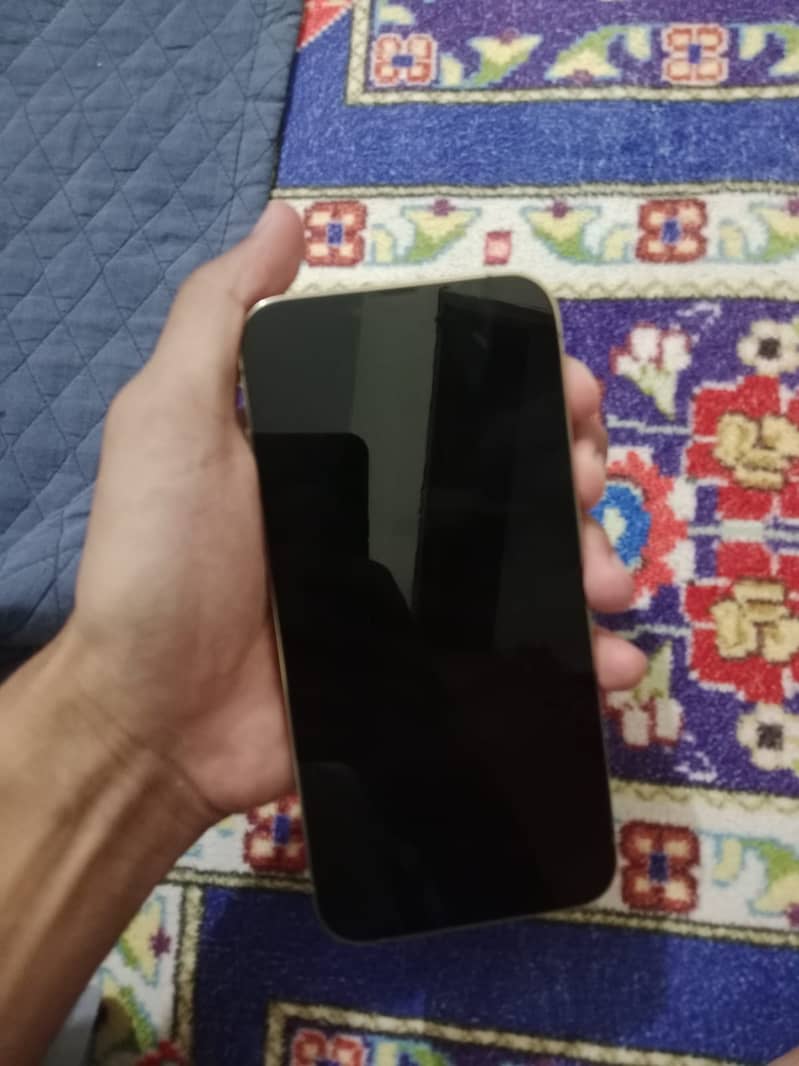 Apple iPhone 13 Pro Max 1