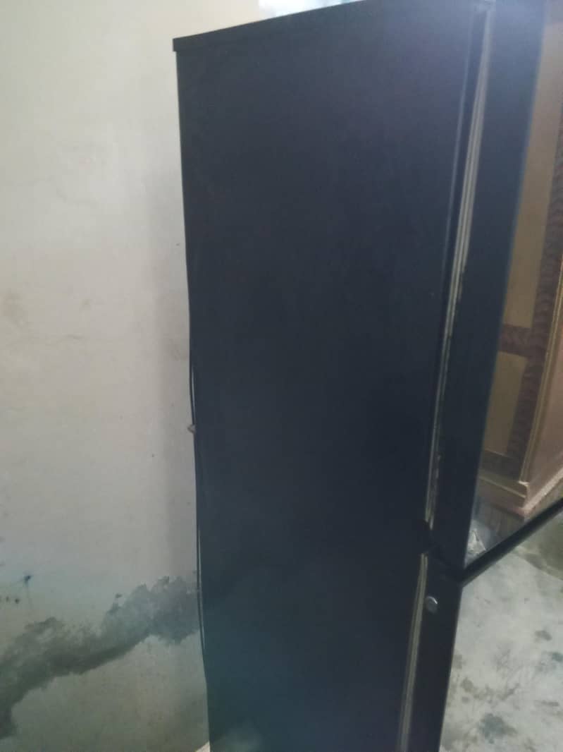 freg pel 6