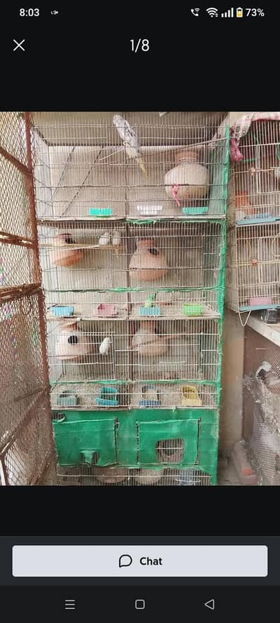 8 portion cage available
