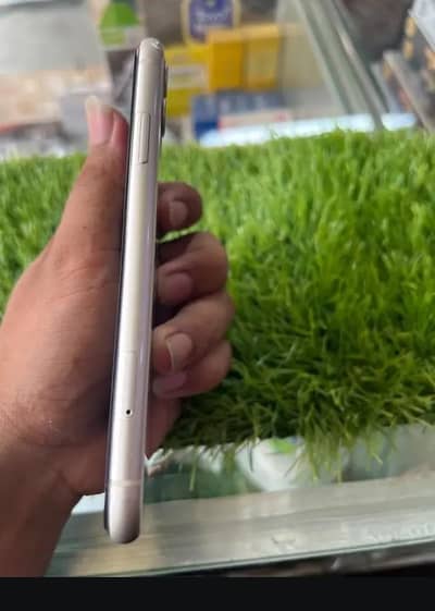 iPhone 11 128 GB PTA approved