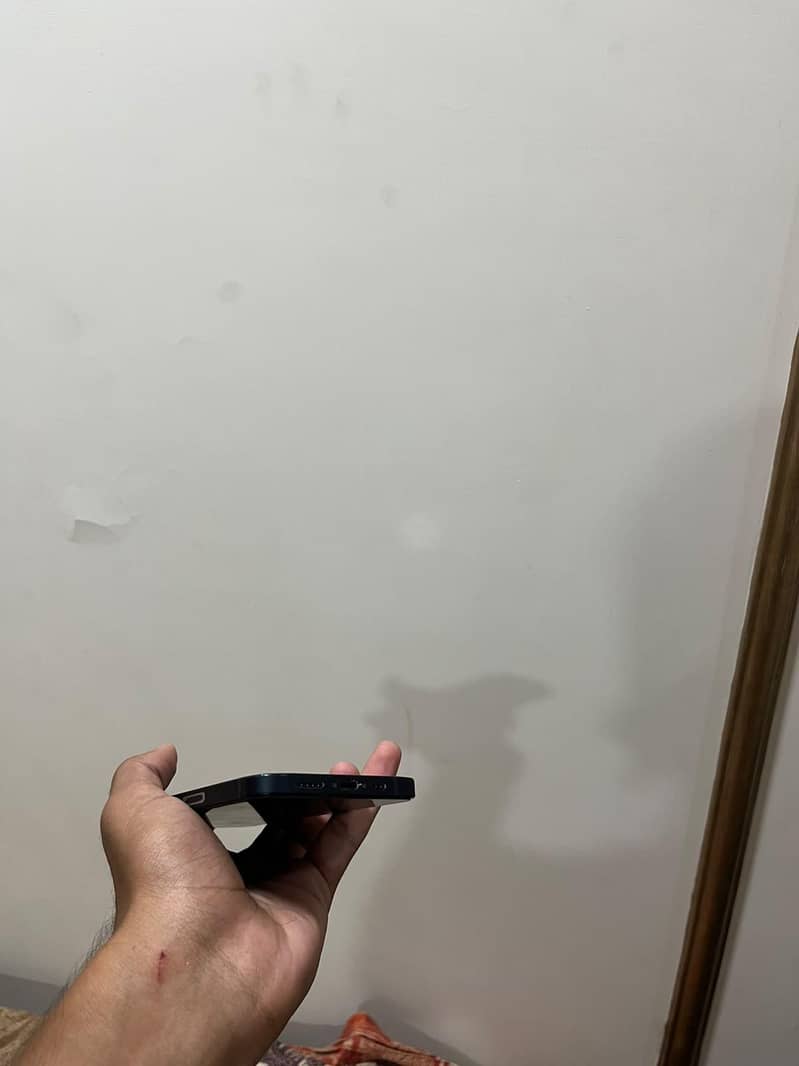 Apple iPhone 12 1