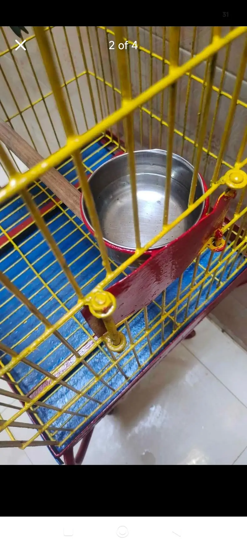 Cage for Sale — photo 3