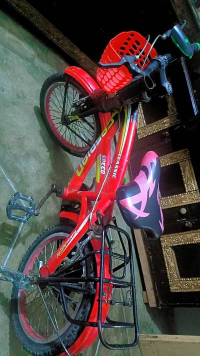 RED CASPIAN CYCLE