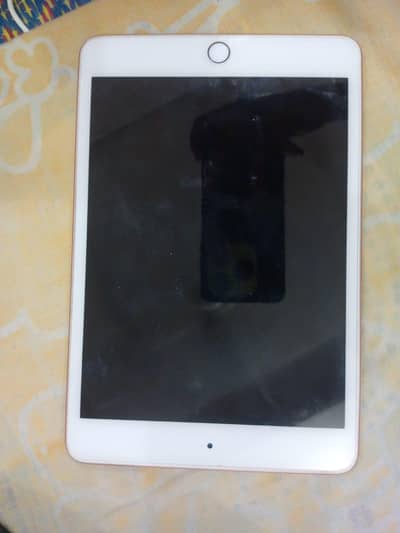 ipad mini 5