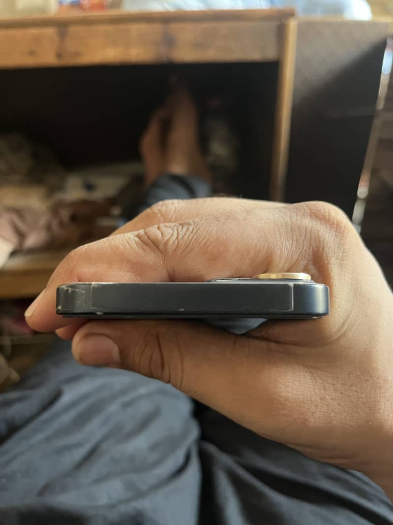 Apple iPhone 13 0