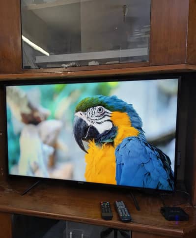 40" Haier LED TV + X96Q Android Box (Smart TV bana dia hay)