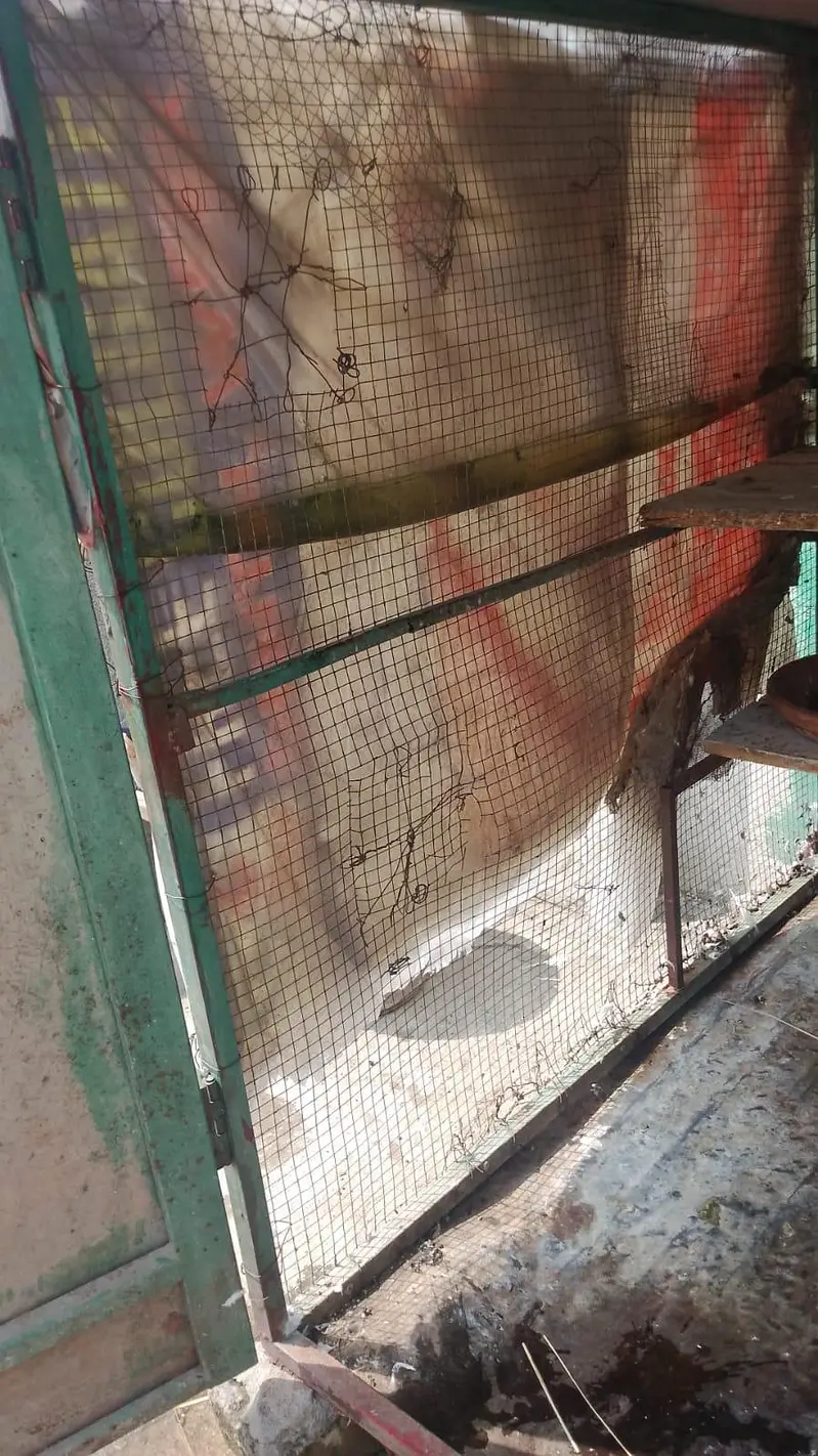 new condition ha kboter or murgio ka lia — photo 3