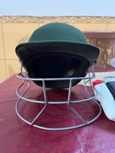 cricket Helmet