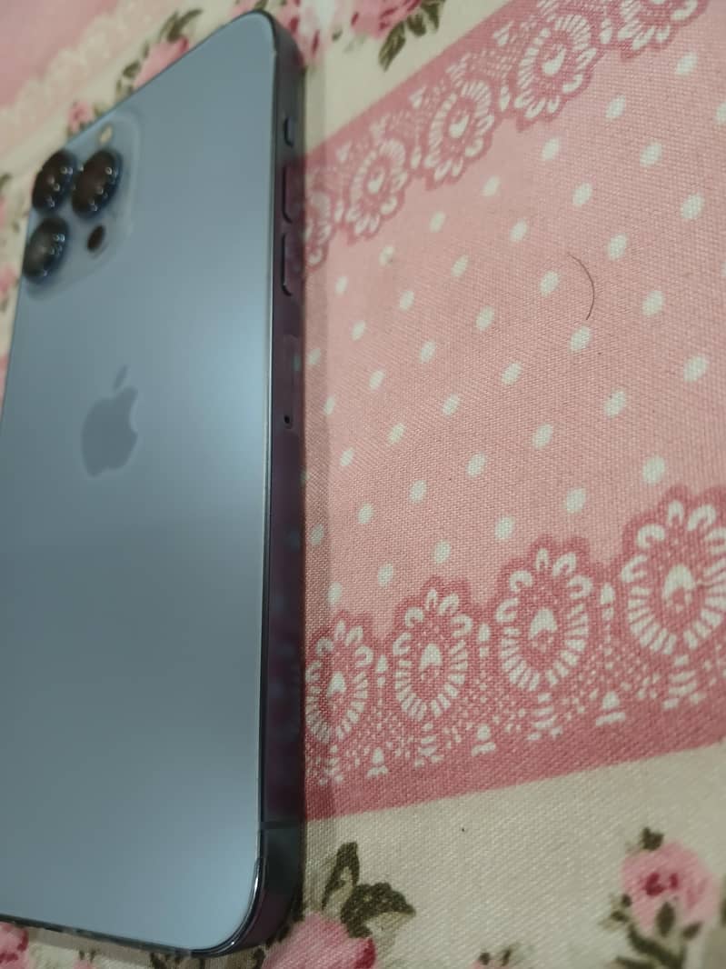 Apple iPhone 13 Pro Max 1