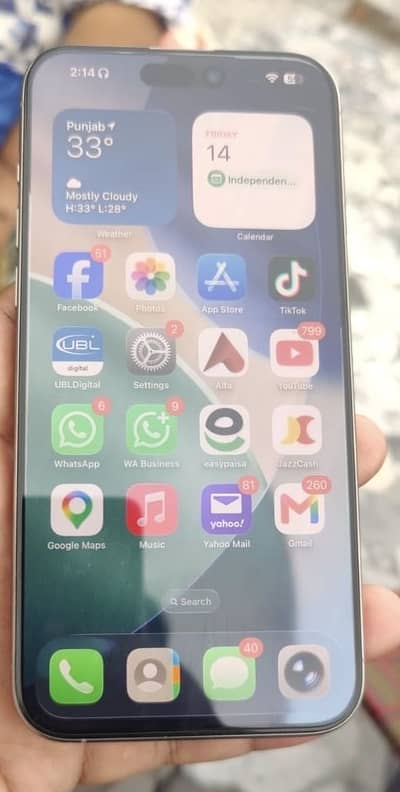 Apple iPhone 15 Pro Max