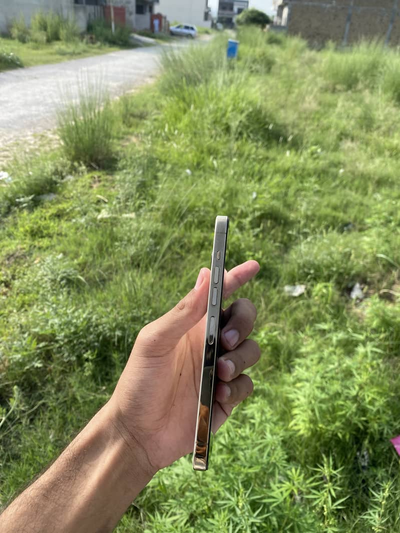 iPhone 13 Pro Max 1