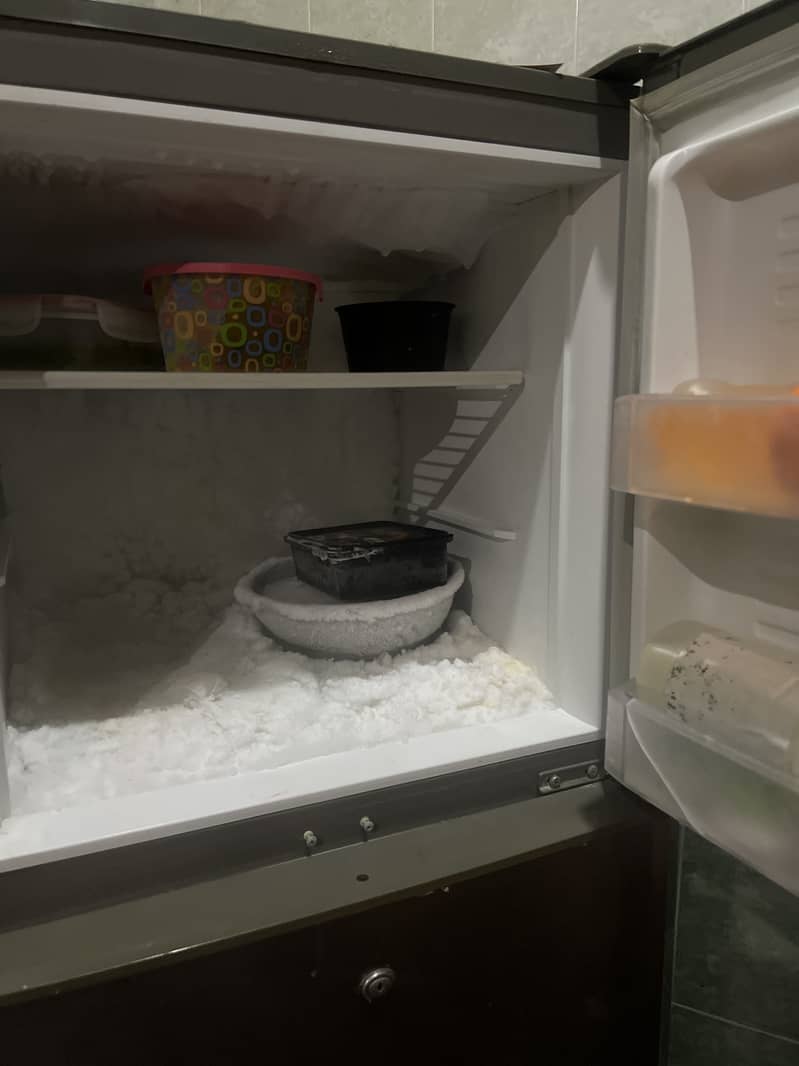 Fridge 1