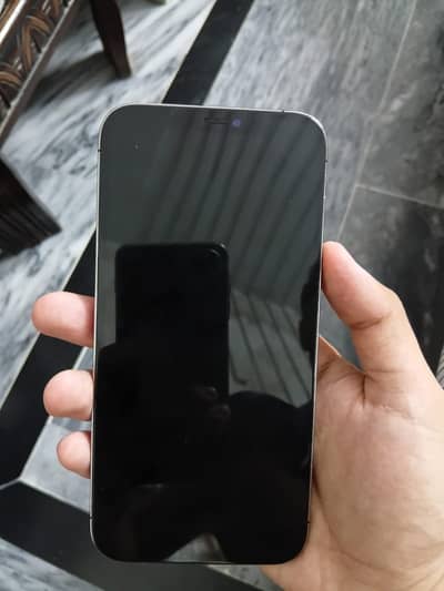Apple iPhone 12 Pro Max